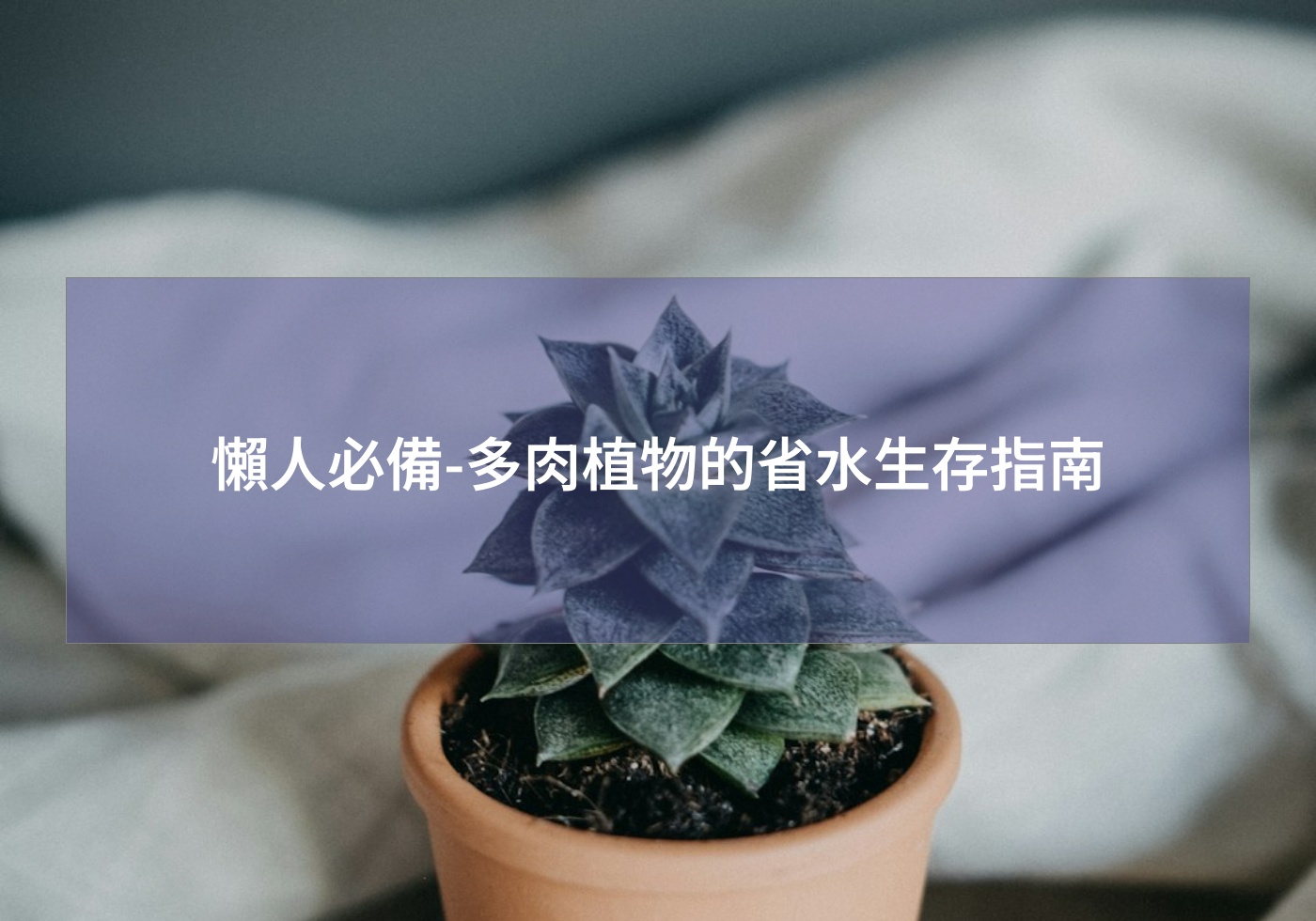 %e6%87%b6%e4%ba%ba%e5%bf%85%e5%82%99 %e5%a4%9a%e8%82%89%e6%a4%8d%e7%89%a9%e7%9a%84%e7%9c%81%e6%b0%b4%e7%94%9f%e5%ad%98%e6%8c%87%e5%8d%97