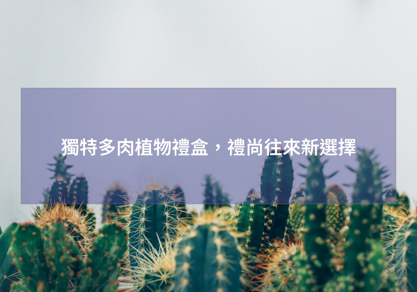 %e7%8d%a8%e7%89%b9%e5%a4%9a%e8%82%89%e6%a4%8d%e7%89%a9%e7%a6%ae%e7%9b%92%ef%bc%8c%e7%a6%ae%e5%b0%9a%e5%be%80%e4%be%86%e6%96%b0%e9%81%b8%e6%93%87