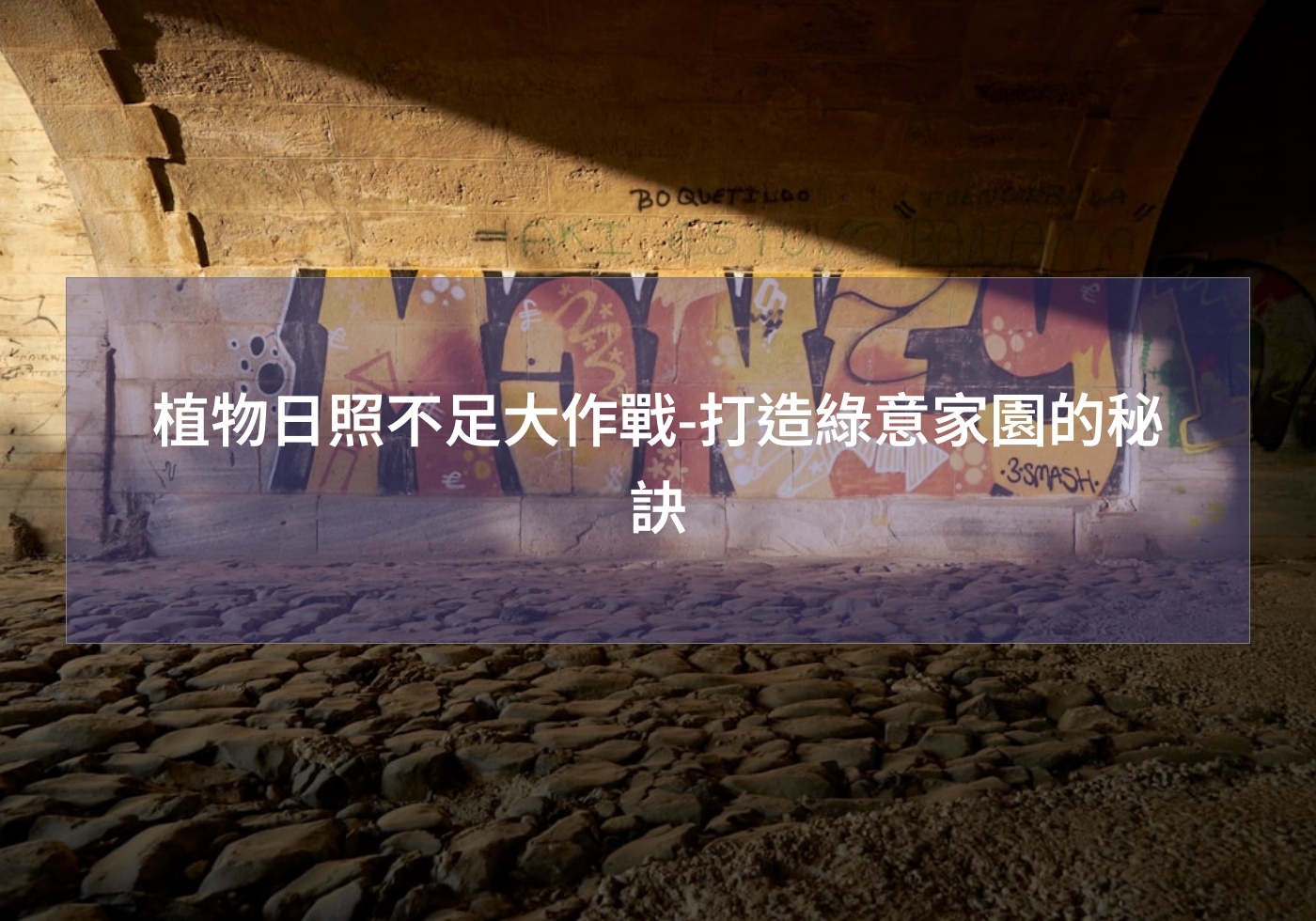 %e6%a4%8d%e7%89%a9%e6%97%a5%e7%85%a7%e4%b8%8d%e8%b6%b3%e5%a4%a7%e4%bd%9c%e6%88%b0 %e6%89%93%e9%80%a0%e7%b6%a0%e6%84%8f%e5%ae%b6%e5%9c%92%e7%9a%84%e7%a7%98%e8%a8%a3