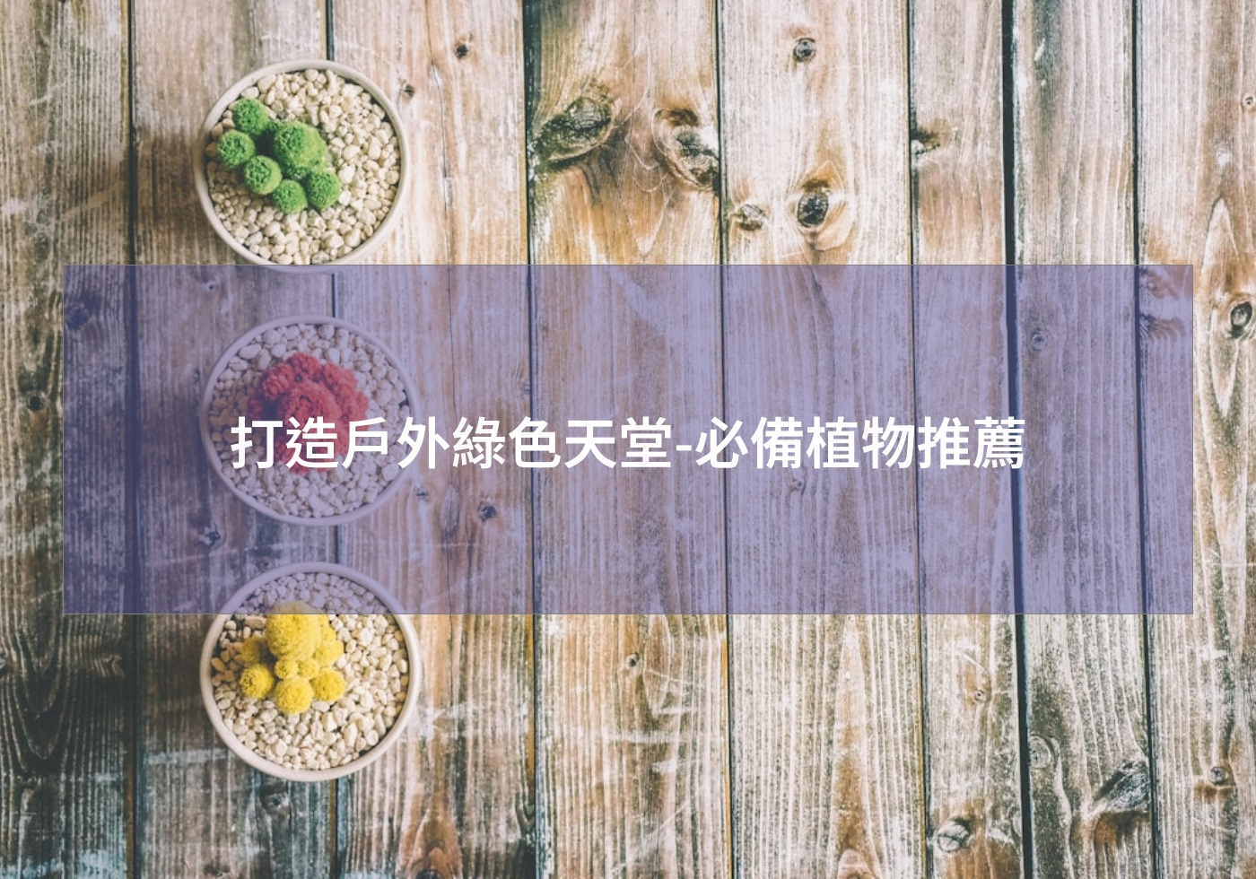 %e6%89%93%e9%80%a0%e6%88%b6%e5%a4%96%e7%b6%a0%e8%89%b2%e5%a4%a9%e5%a0%82 %e5%bf%85%e5%82%99%e6%a4%8d%e7%89%a9%e6%8e%a8%e8%96%a6