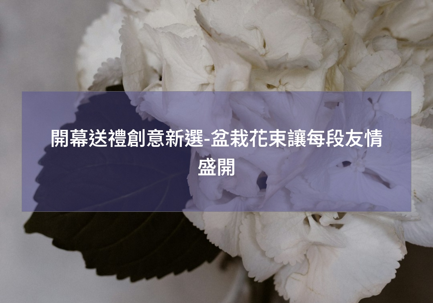 %e9%96%8b%e5%b9%95%e9%80%81%e7%a6%ae%e5%89%b5%e6%84%8f%e6%96%b0%e9%81%b8 %e7%9b%86%e6%a0%bd%e8%8a%b1%e6%9d%9f%e8%ae%93%e6%af%8f%e6%ae%b5%e5%8f%8b%e6%83%85%e7%9b%9b%e9%96%8b