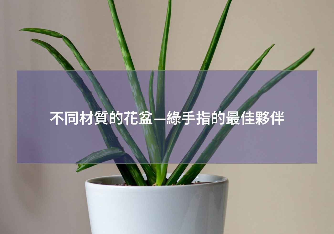 %e4%b8%8d%e5%90%8c%e6%9d%90%e8%b3%aa%e7%9a%84%e8%8a%b1%e7%9b%86 %e7%b6%a0%e6%89%8b%e6%8c%87%e7%9a%84%e6%9c%80%e4%bd%b3%e5%a4%a5%e4%bc%b4