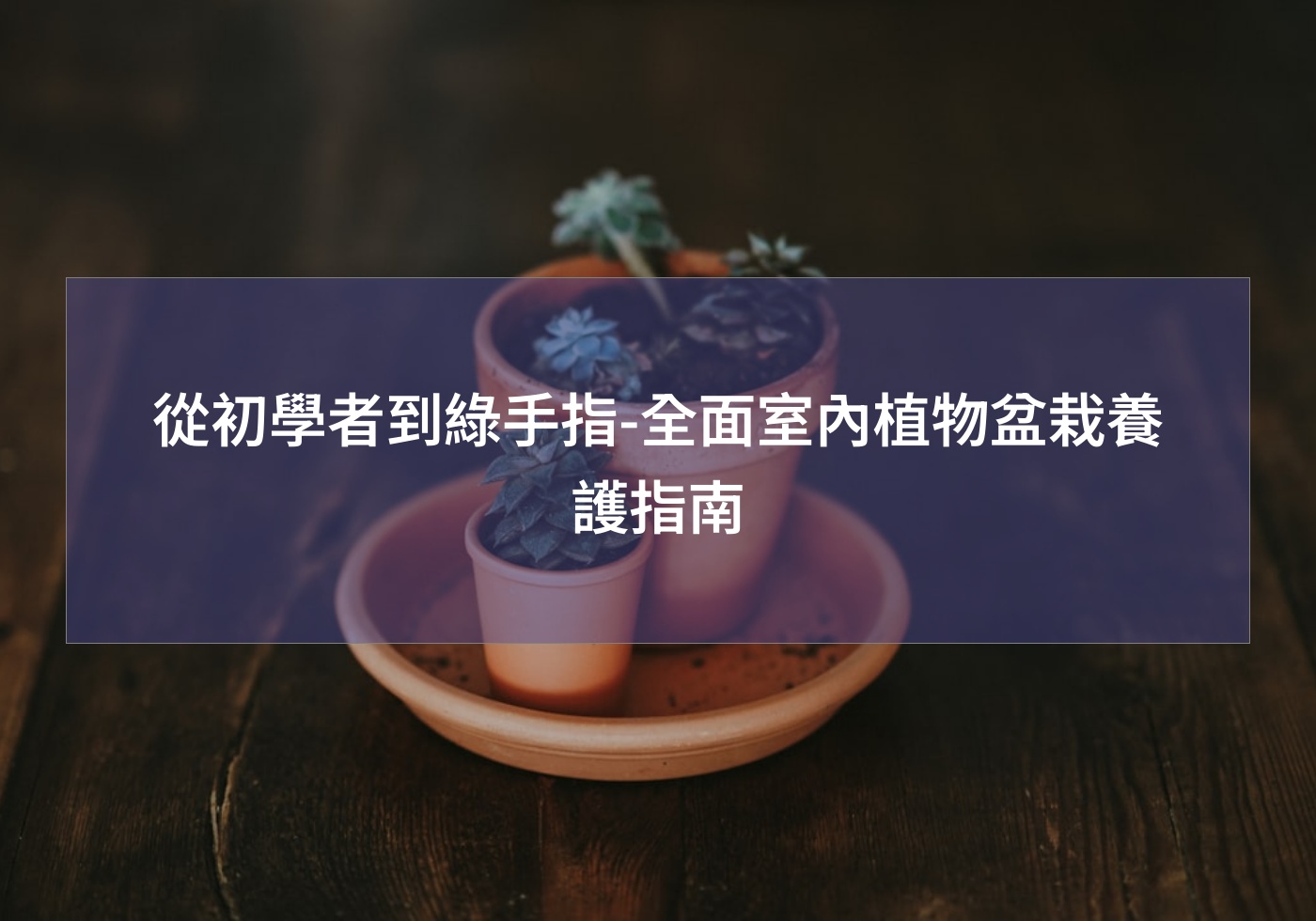 %e5%be%9e%e5%88%9d%e5%ad%b8%e8%80%85%e5%88%b0%e7%b6%a0%e6%89%8b%e6%8c%87 %e5%85%a8%e9%9d%a2%e5%ae%a4%e5%85%a7%e6%a4%8d%e7%89%a9%e7%9b%86%e6%a0%bd%e9%a4%8a%e8%ad%b7%e6%8c%87%e5%8d%97