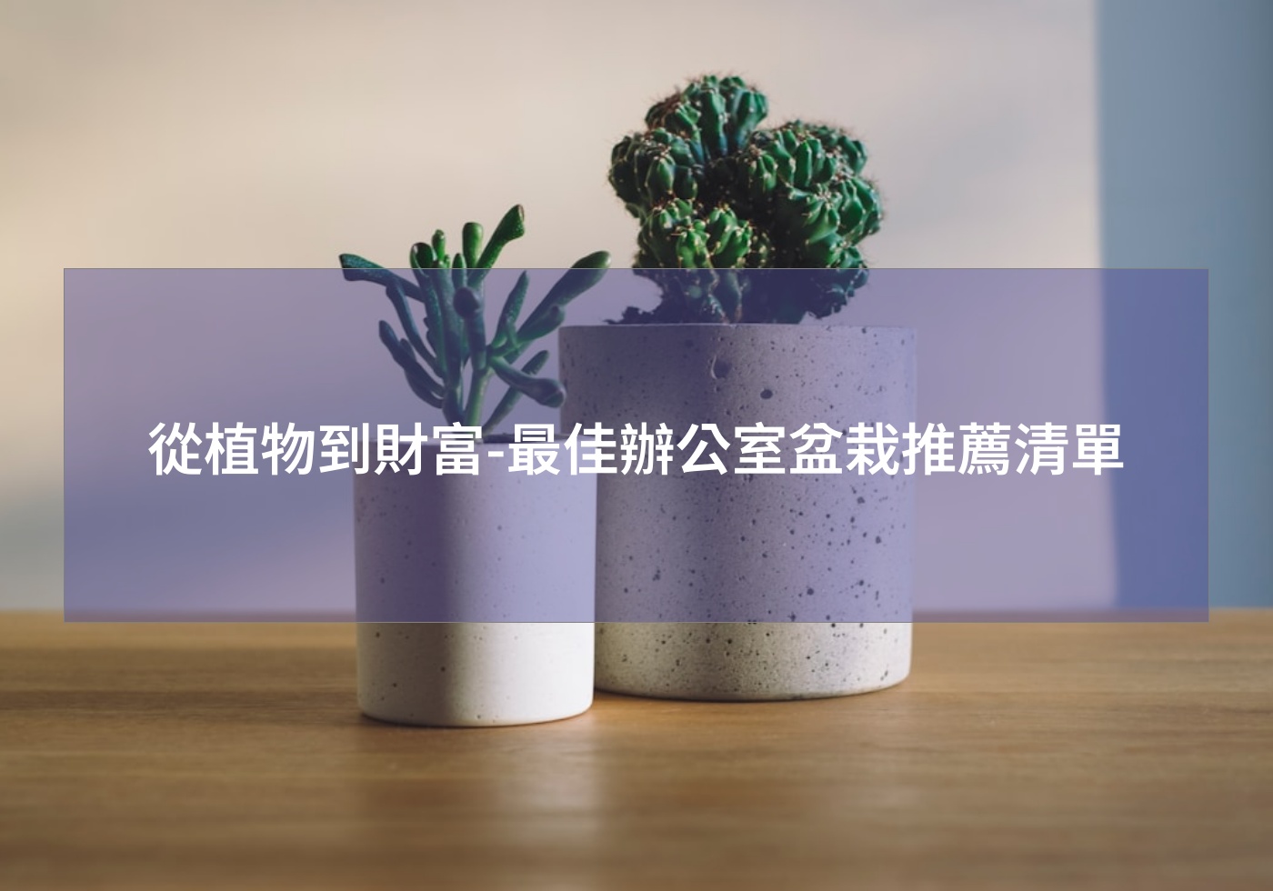 %e5%be%9e%e6%a4%8d%e7%89%a9%e5%88%b0%e8%b2%a1%e5%af%8c %e6%9c%80%e4%bd%b3%e8%be%a6%e5%85%ac%e5%ae%a4%e7%9b%86%e6%a0%bd%e6%8e%a8%e8%96%a6%e6%b8%85%e5%96%ae