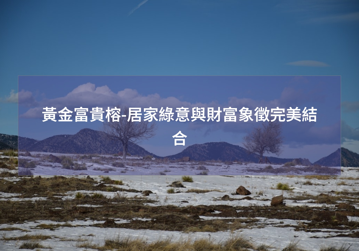 %e9%bb%83%e9%87%91%e5%af%8c%e8%b2%b4%e6%a6%95 %e5%b1%85%e5%ae%b6%e7%b6%a0%e6%84%8f%e8%88%87%e8%b2%a1%e5%af%8c%e8%b1%a1%e5%be%b5%e5%ae%8c%e7%be%8e%e7%b5%90%e5%90%88