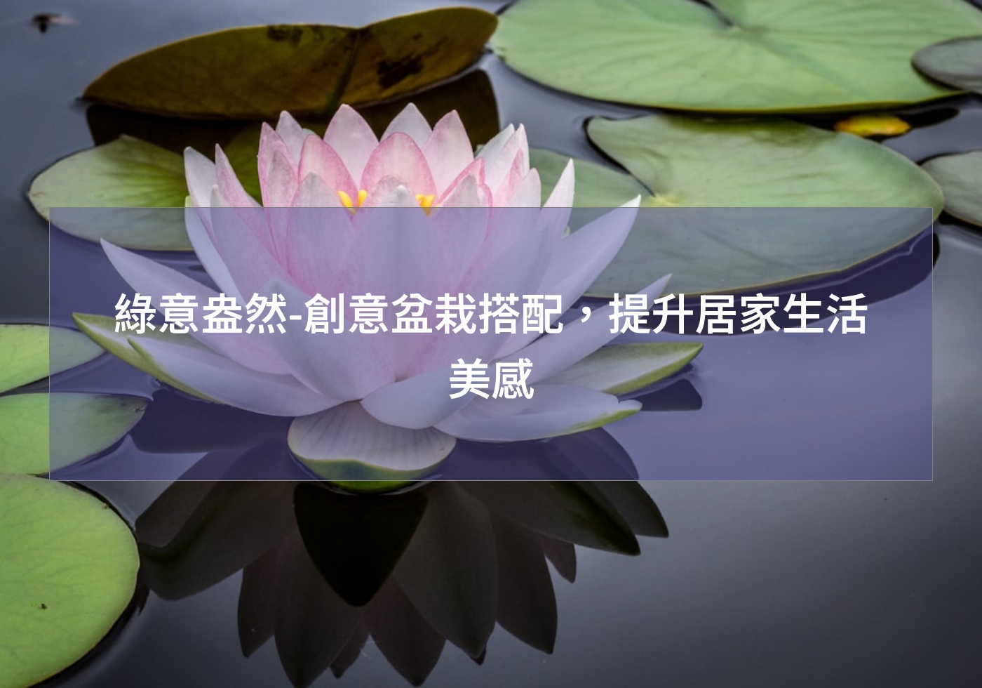 %e7%b6%a0%e6%84%8f%e7%9b%8e%e7%84%b6 %e5%89%b5%e6%84%8f%e7%9b%86%e6%a0%bd%e6%90%ad%e9%85%8d%ef%bc%8c%e6%8f%90%e5%8d%87%e5%b1%85%e5%ae%b6%e7%94%9f%e6%b4%bb%e7%be%8e%e6%84%9f