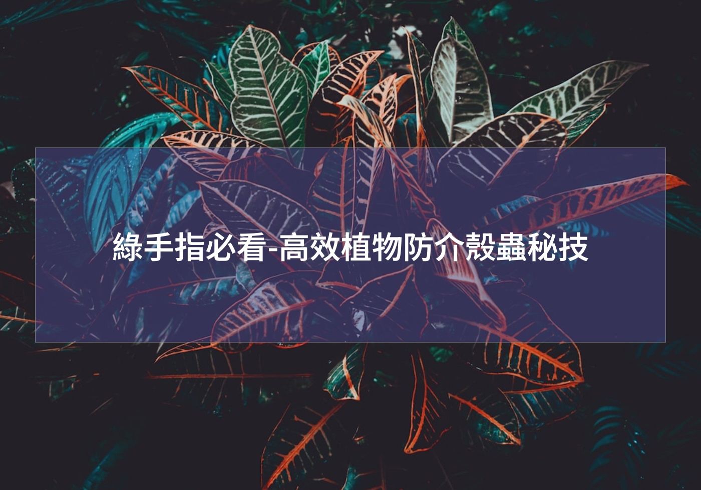 %e7%b6%a0%e6%89%8b%e6%8c%87%e5%bf%85%e7%9c%8b %e9%ab%98%e6%95%88%e6%a4%8d%e7%89%a9%e9%98%b2%e4%bb%8b%e6%ae%bc%e8%9f%b2%e7%a7%98%e6%8a%80