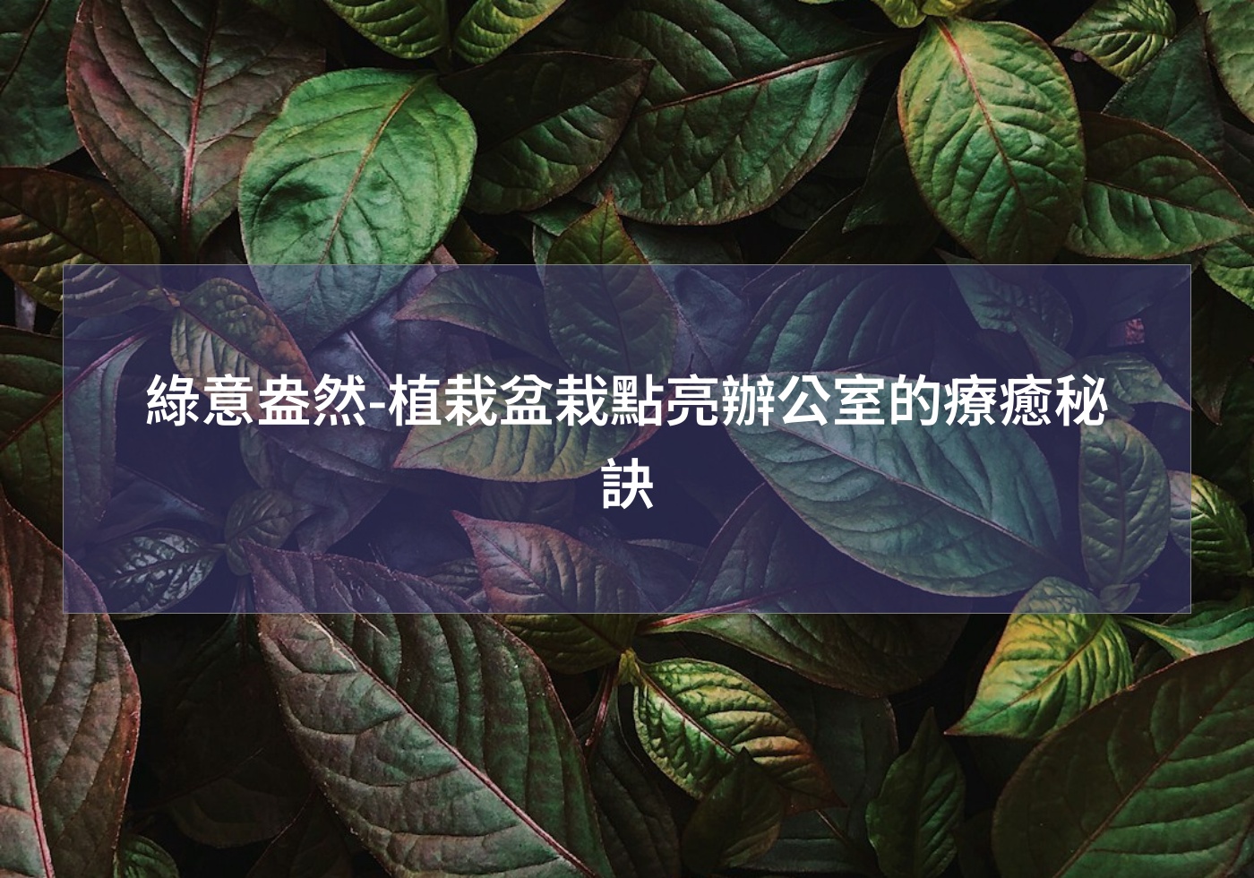 %e7%b6%a0%e6%84%8f%e7%9b%8e%e7%84%b6 %e6%a4%8d%e6%a0%bd%e7%9b%86%e6%a0%bd%e9%bb%9e%e4%ba%ae%e8%be%a6%e5%85%ac%e5%ae%a4%e7%9a%84%e7%99%82%e7%99%92%e7%a7%98%e8%a8%a3