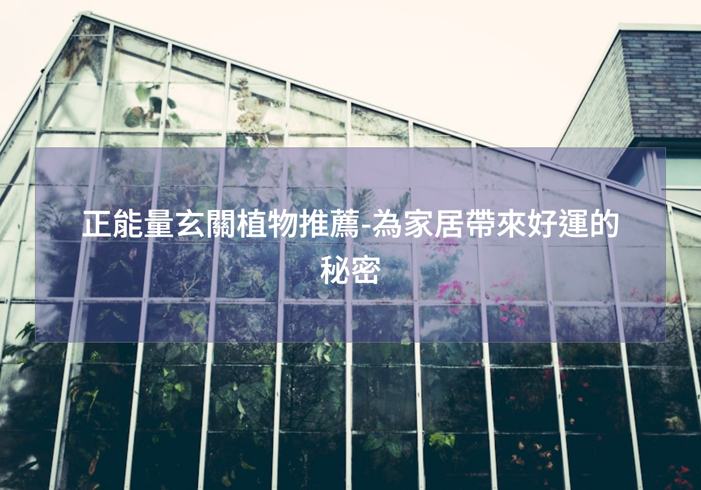 %e6%ad%a3%e8%83%bd%e9%87%8f%e7%8e%84%e9%97%9c%e6%a4%8d%e7%89%a9%e6%8e%a8%e8%96%a6 %e7%82%ba%e5%ae%b6%e5%b1%85%e5%b8%b6%e4%be%86%e5%a5%bd%e9%81%8b%e7%9a%84%e7%a7%98%e5%af%86