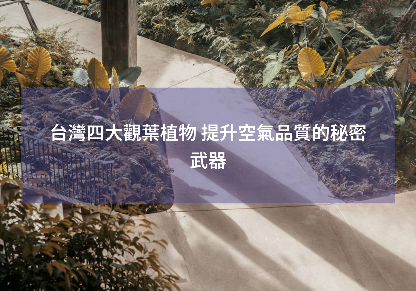 %e5%8f%b0%e7%81%a3%e5%9b%9b%e5%a4%a7%e8%a7%80%e8%91%89%e6%a4%8d%e7%89%a9 %e6%8f%90%e5%8d%87%e7%a9%ba%e6%b0%a3%e5%93%81%e8%b3%aa%e7%9a%84%e7%a7%98%e5%af%86%e6%ad%a6%e5%99%a8