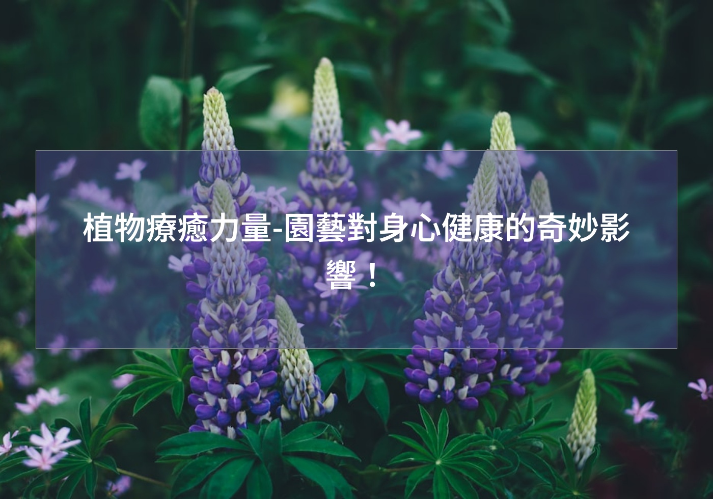 %e6%a4%8d%e7%89%a9%e7%99%82%e7%99%92%e5%8a%9b%e9%87%8f %e5%9c%92%e8%97%9d%e5%b0%8d%e8%ba%ab%e5%bf%83%e5%81%a5%e5%ba%b7%e7%9a%84%e5%a5%87%e5%a6%99%e5%bd%b1%e9%9f%bf%ef%bc%81