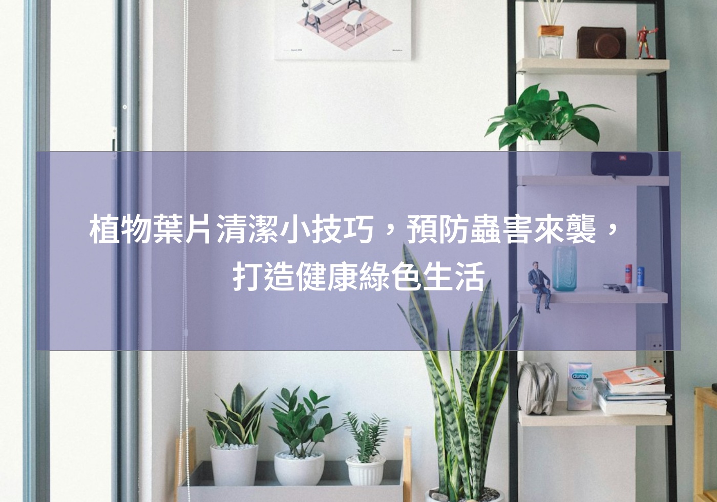 %e6%a4%8d%e7%89%a9%e8%91%89%e7%89%87%e6%b8%85%e6%bd%94%e5%b0%8f%e6%8a%80%e5%b7%a7%ef%bc%8c%e9%a0%90%e9%98%b2%e8%9f%b2%e5%ae%b3%e4%be%86%e8%a5%b2%ef%bc%8c%e6%89%93%e9%80%a0%e5%81%a5%e5%ba%b7%e7%b6%a0