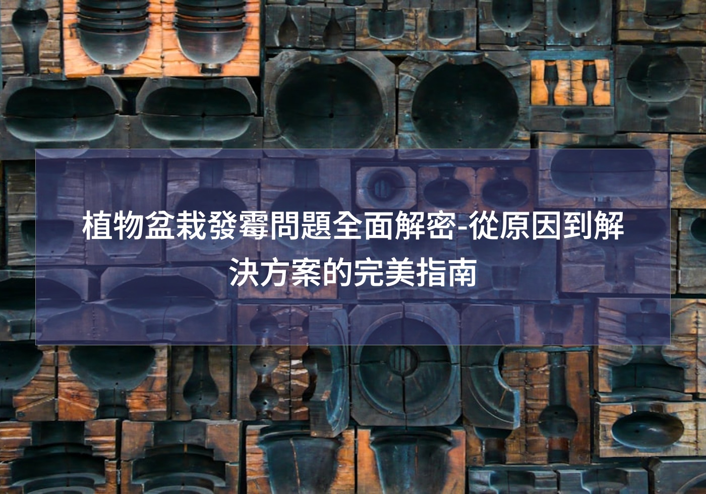 %e6%a4%8d%e7%89%a9%e7%9b%86%e6%a0%bd%e7%99%bc%e9%9c%89%e5%95%8f%e9%a1%8c%e5%85%a8%e9%9d%a2%e8%a7%a3%e5%af%86 %e5%be%9e%e5%8e%9f%e5%9b%a0%e5%88%b0%e8%a7%a3%e6%b1%ba%e6%96%b9%e6%a1%88%e7%9a%84%e5%ae%8c