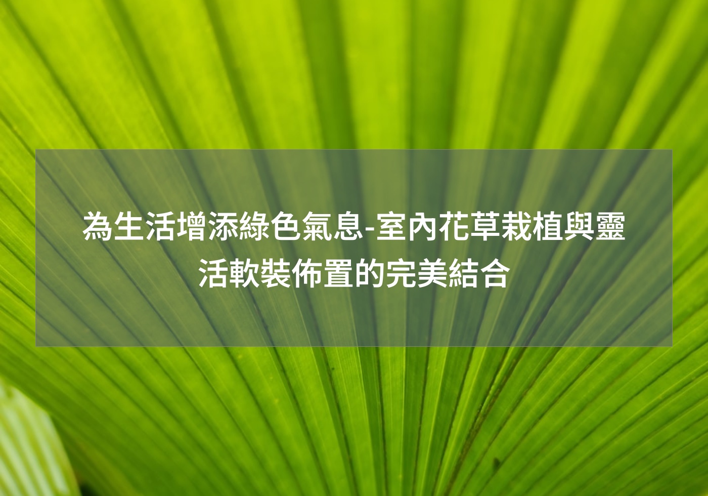 %e7%82%ba%e7%94%9f%e6%b4%bb%e5%a2%9e%e6%b7%bb%e7%b6%a0%e8%89%b2%e6%b0%a3%e6%81%af %e5%ae%a4%e5%85%a7%e8%8a%b1%e8%8d%89%e6%a0%bd%e6%a4%8d%e8%88%87%e9%9d%88%e6%b4%bb%e8%bb%9f%e8%a3%9d%e4%bd%88%e7%bd%ae