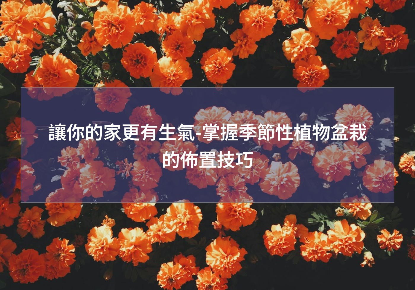 %e8%ae%93%e4%bd%a0%e7%9a%84%e5%ae%b6%e6%9b%b4%e6%9c%89%e7%94%9f%e6%b0%a3 %e6%8e%8c%e6%8f%a1%e5%ad%a3%e7%af%80%e6%80%a7%e6%a4%8d%e7%89%a9%e7%9b%86%e6%a0%bd%e7%9a%84%e4%bd%88%e7%bd%ae%e6%8a%80%e5%b7%a7