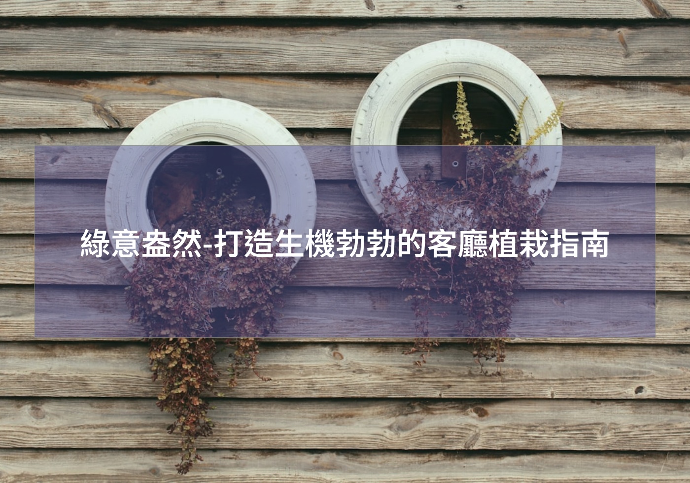 %e7%b6%a0%e6%84%8f%e7%9b%8e%e7%84%b6 %e6%89%93%e9%80%a0%e7%94%9f%e6%a9%9f%e5%8b%83%e5%8b%83%e7%9a%84%e5%ae%a2%e5%bb%b3%e6%a4%8d%e6%a0%bd%e6%8c%87%e5%8d%97