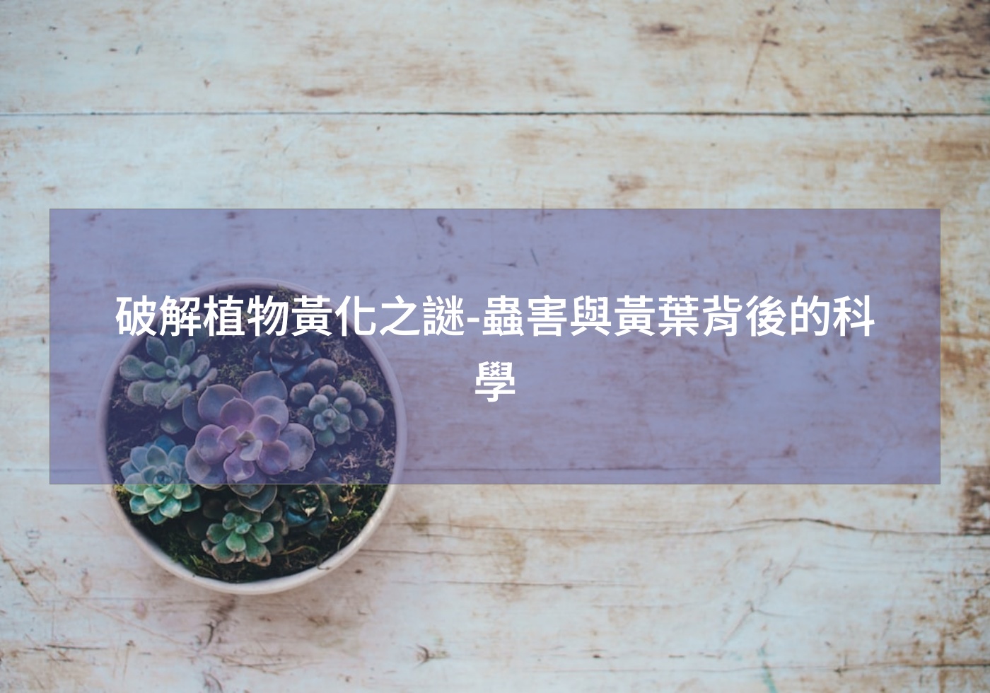 %e7%a0%b4%e8%a7%a3%e6%a4%8d%e7%89%a9%e9%bb%83%e5%8c%96%e4%b9%8b%e8%ac%8e %e8%9f%b2%e5%ae%b3%e8%88%87%e9%bb%83%e8%91%89%e8%83%8c%e5%be%8c%e7%9a%84%e7%a7%91%e5%ad%b8