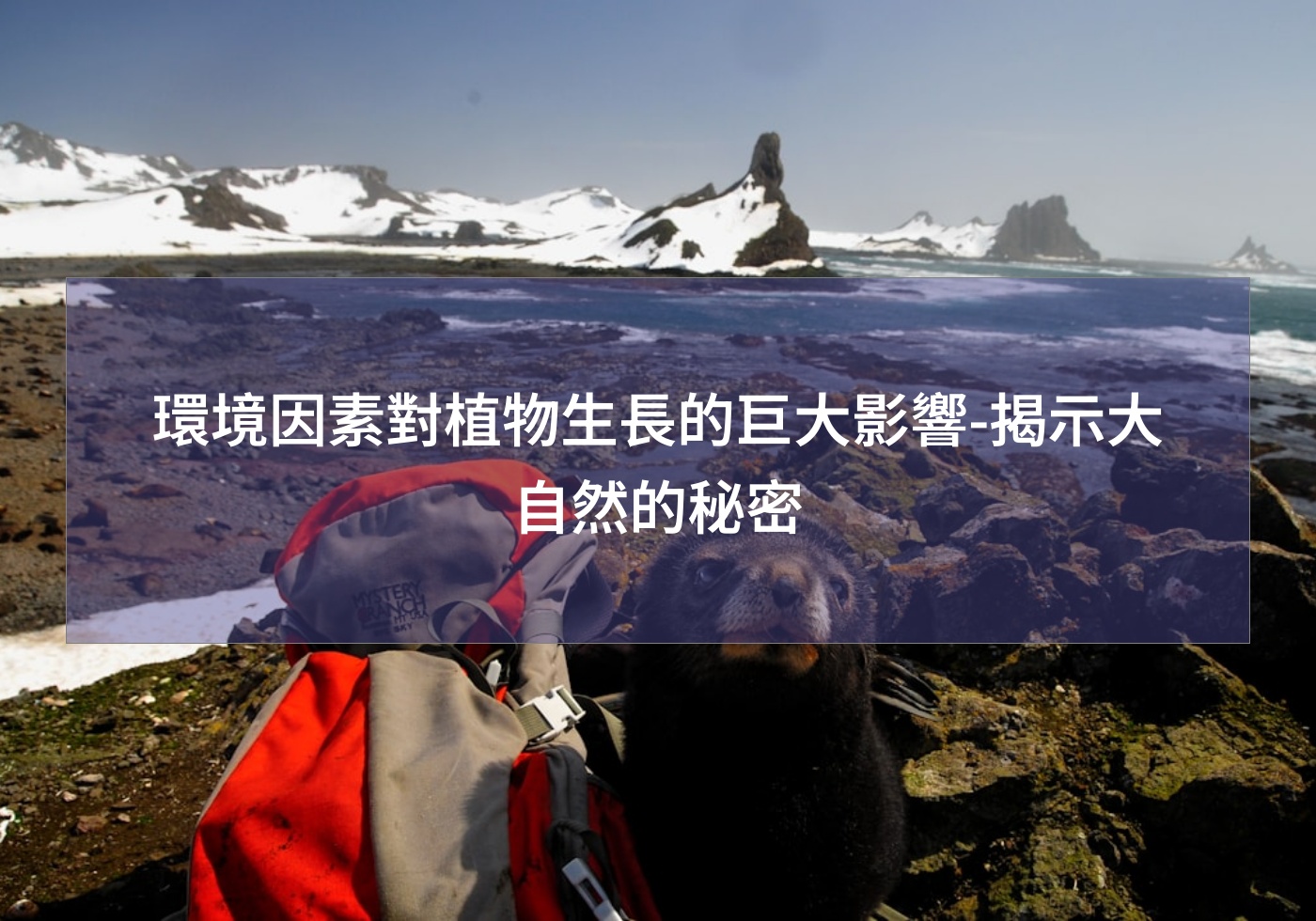 %e7%92%b0%e5%a2%83%e5%9b%a0%e7%b4%a0%e5%b0%8d%e6%a4%8d%e7%89%a9%e7%94%9f%e9%95%b7%e7%9a%84%e5%b7%a8%e5%a4%a7%e5%bd%b1%e9%9f%bf %e6%8f%ad%e7%a4%ba%e5%a4%a7%e8%87%aa%e7%84%b6%e7%9a%84%e7%a7%98%e5%af%86