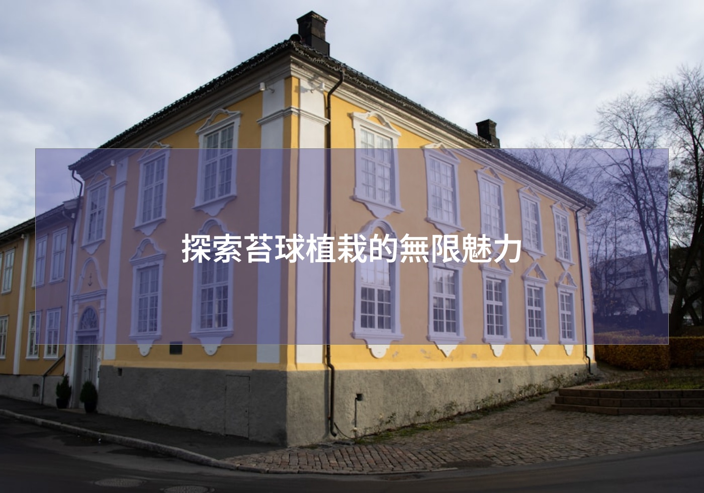 %e6%8e%a2%e7%b4%a2%e8%8b%94%e7%90%83%e6%a4%8d%e6%a0%bd%e7%9a%84%e7%84%a1%e9%99%90%e9%ad%85%e5%8a%9b