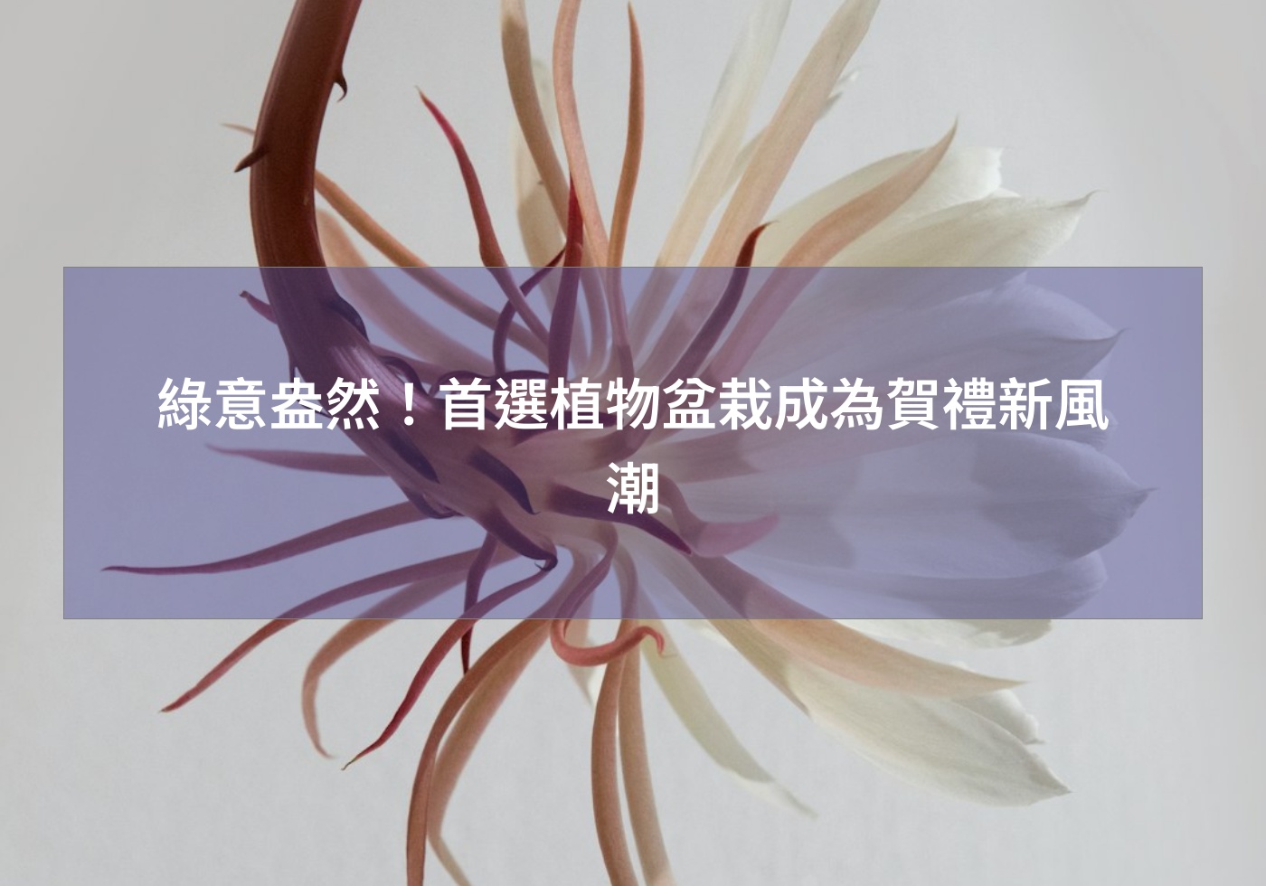 %e7%b6%a0%e6%84%8f%e7%9b%8e%e7%84%b6%ef%bc%81%e9%a6%96%e9%81%b8%e6%a4%8d%e7%89%a9%e7%9b%86%e6%a0%bd%e6%88%90%e7%82%ba%e8%b3%80%e7%a6%ae%e6%96%b0%e9%a2%a8%e6%bd%ae