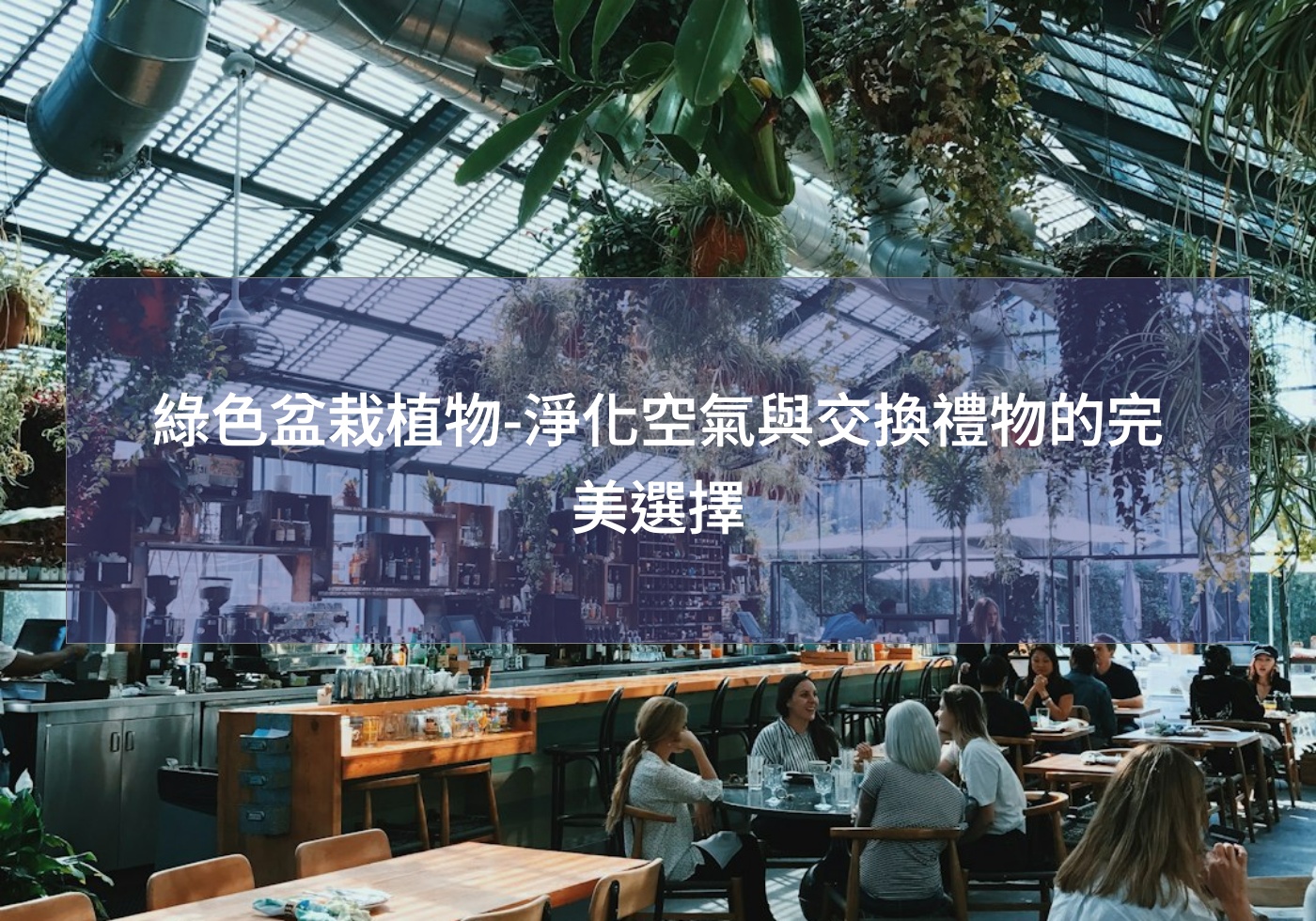 %e7%b6%a0%e8%89%b2%e7%9b%86%e6%a0%bd%e6%a4%8d%e7%89%a9 %e6%b7%a8%e5%8c%96%e7%a9%ba%e6%b0%a3%e8%88%87%e4%ba%a4%e6%8f%9b%e7%a6%ae%e7%89%a9%e7%9a%84%e5%ae%8c%e7%be%8e%e9%81%b8%e6%93%87