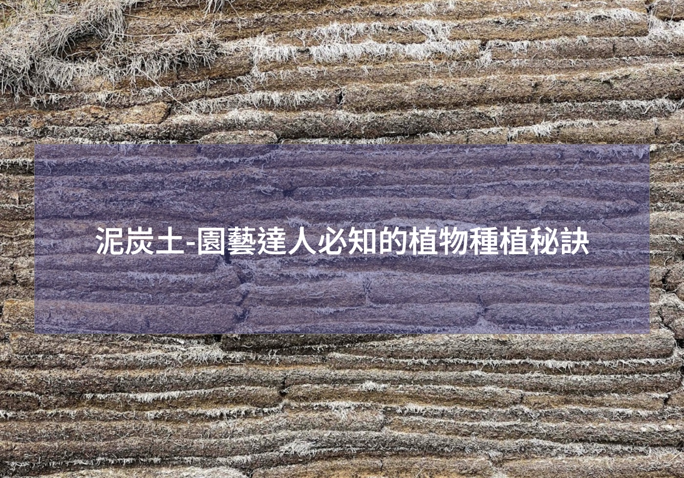 %e6%b3%a5%e7%82%ad%e5%9c%9f %e5%9c%92%e8%97%9d%e9%81%94%e4%ba%ba%e5%bf%85%e7%9f%a5%e7%9a%84%e6%a4%8d%e7%89%a9%e7%a8%ae%e6%a4%8d%e7%a7%98%e8%a8%a3