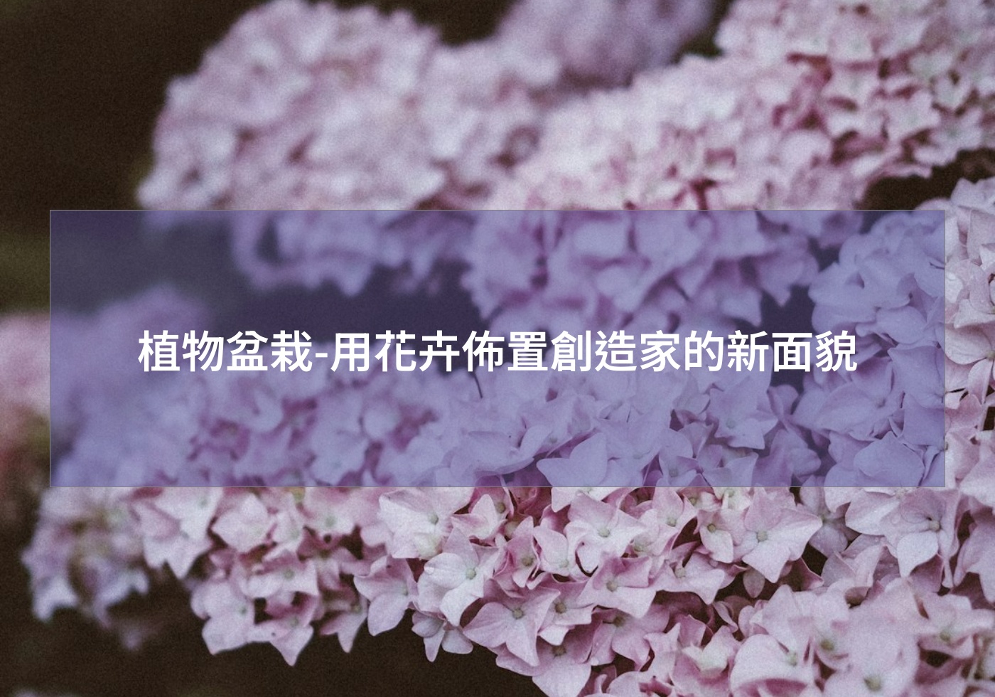 %e6%a4%8d%e7%89%a9%e7%9b%86%e6%a0%bd %e7%94%a8%e8%8a%b1%e5%8d%89%e4%bd%88%e7%bd%ae%e5%89%b5%e9%80%a0%e5%ae%b6%e7%9a%84%e6%96%b0%e9%9d%a2%e8%b2%8c