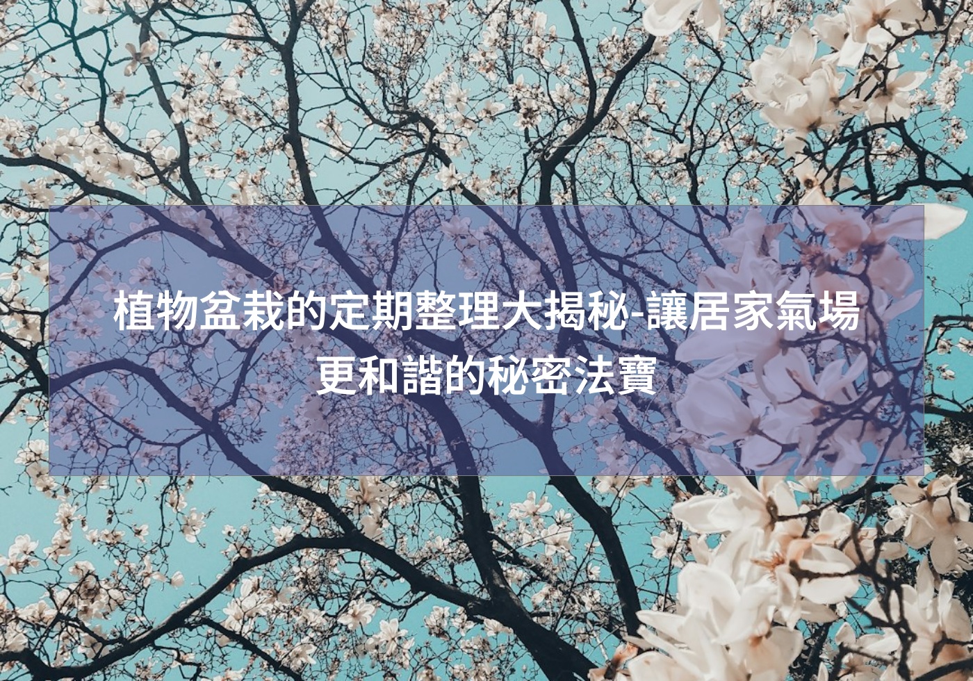 %e6%a4%8d%e7%89%a9%e7%9b%86%e6%a0%bd%e7%9a%84%e5%ae%9a%e6%9c%9f%e6%95%b4%e7%90%86%e5%a4%a7%e6%8f%ad%e7%a7%98 %e8%ae%93%e5%b1%85%e5%ae%b6%e6%b0%a3%e5%a0%b4%e6%9b%b4%e5%92%8c%e8%ab%a7%e7%9a%84%e7%a7%98