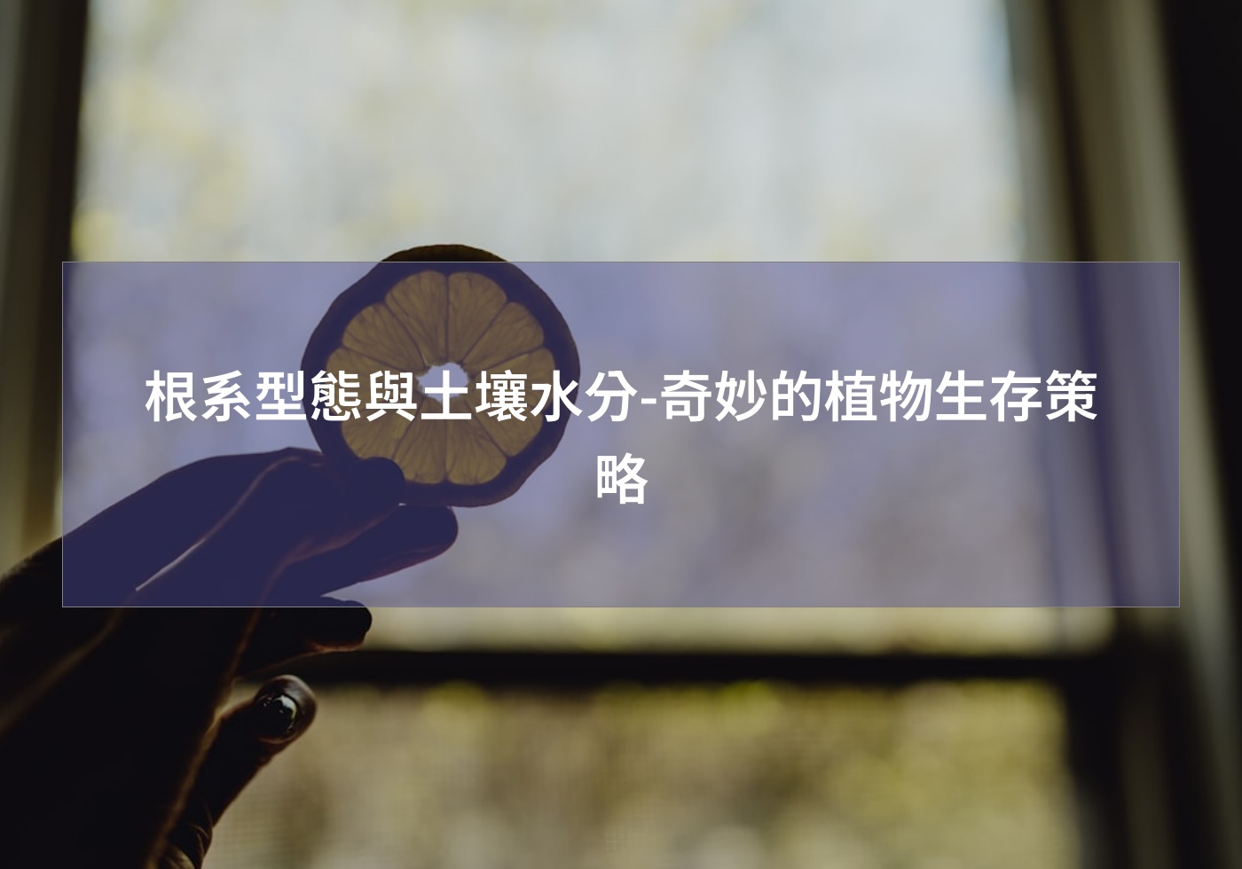 %e6%a0%b9%e7%b3%bb%e5%9e%8b%e6%85%8b%e8%88%87%e5%9c%9f%e5%a3%a4%e6%b0%b4%e5%88%86 %e5%a5%87%e5%a6%99%e7%9a%84%e6%a4%8d%e7%89%a9%e7%94%9f%e5%ad%98%e7%ad%96%e7%95%a5