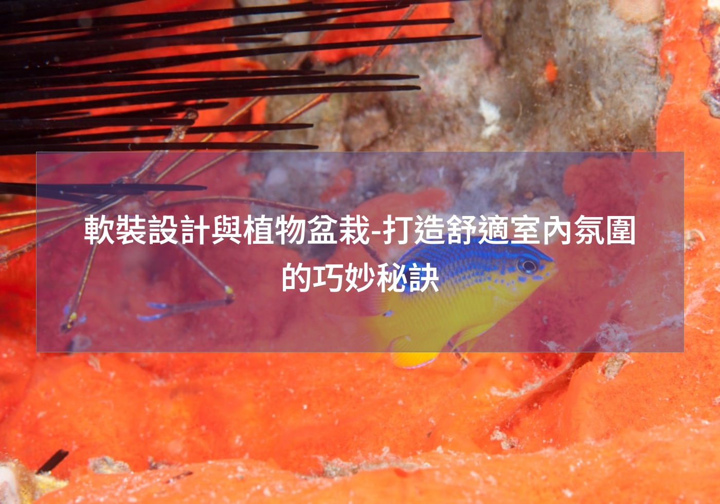 %e8%bb%9f%e8%a3%9d%e8%a8%ad%e8%a8%88%e8%88%87%e6%a4%8d%e7%89%a9%e7%9b%86%e6%a0%bd %e6%89%93%e9%80%a0%e8%88%92%e9%81%a9%e5%ae%a4%e5%85%a7%e6%b0%9b%e5%9c%8d%e7%9a%84%e5%b7%a7%e5%a6%99%e7%a7%98%e8%a8%a3