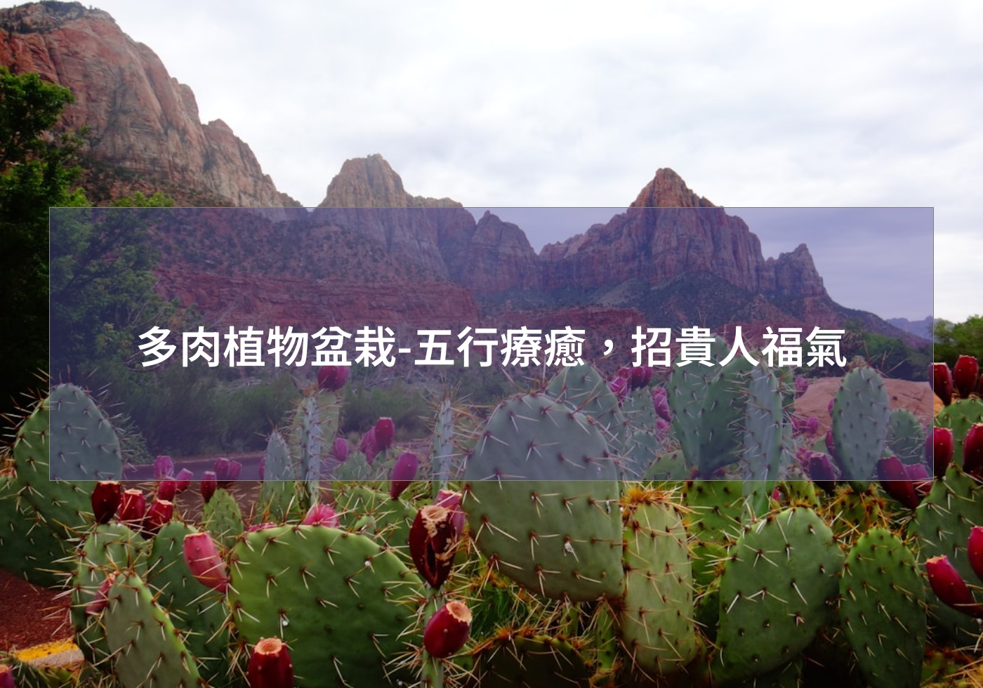 %e5%a4%9a%e8%82%89%e6%a4%8d%e7%89%a9%e7%9b%86%e6%a0%bd %e4%ba%94%e8%a1%8c%e7%99%82%e7%99%92%ef%bc%8c%e6%8b%9b%e8%b2%b4%e4%ba%ba%e7%a6%8f%e6%b0%a3