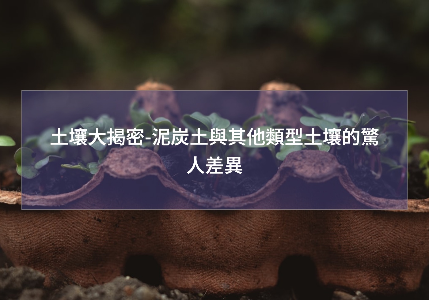 %e5%9c%9f%e5%a3%a4%e5%a4%a7%e6%8f%ad%e5%af%86 %e6%b3%a5%e7%82%ad%e5%9c%9f%e8%88%87%e5%85%b6%e4%bb%96%e9%a1%9e%e5%9e%8b%e5%9c%9f%e5%a3%a4%e7%9a%84%e9%a9%9a%e4%ba%ba%e5%b7%ae%e7%95%b0