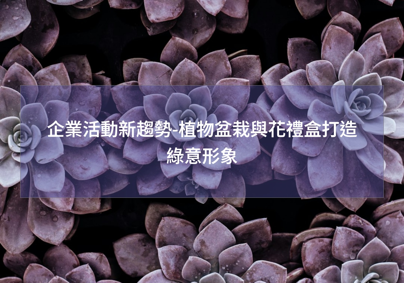 企業活動新趨勢-植物盆栽與花禮盒打造綠意形象