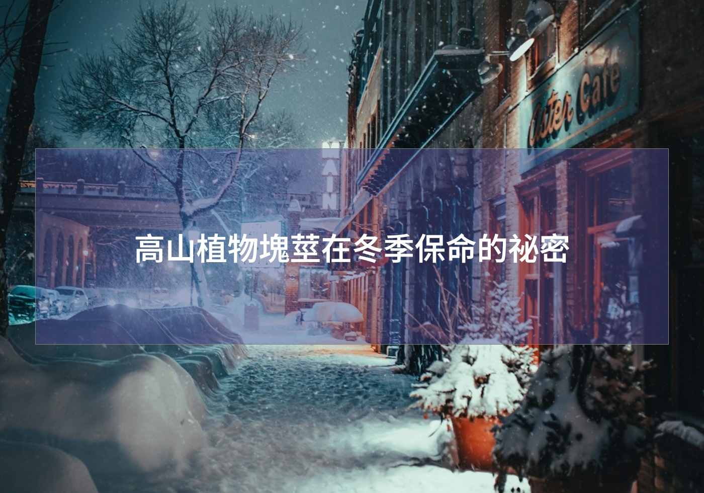 %e9%ab%98%e5%b1%b1%e6%a4%8d%e7%89%a9%e5%a1%8a%e8%8e%96%e5%9c%a8%e5%86%ac%e5%ad%a3%e4%bf%9d%e5%91%bd%e7%9a%84%e7%a5%95%e5%af%86