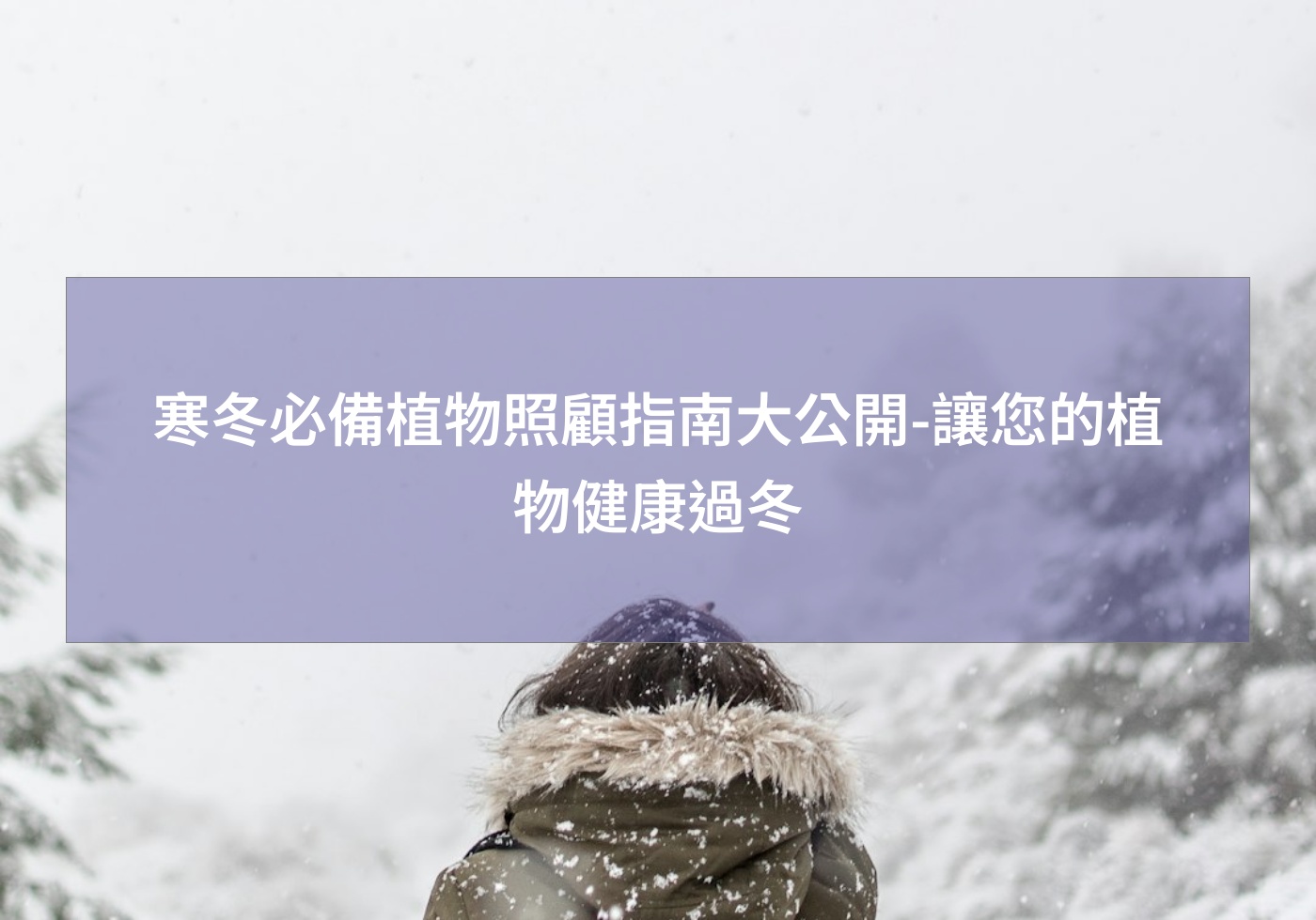 %e5%af%92%e5%86%ac%e5%bf%85%e5%82%99%e6%a4%8d%e7%89%a9%e7%85%a7%e9%a1%a7%e6%8c%87%e5%8d%97%e5%a4%a7%e5%85%ac%e9%96%8b %e8%ae%93%e6%82%a8%e7%9a%84%e6%a4%8d%e7%89%a9%e5%81%a5%e5%ba%b7%e9%81%8e%e5%86%ac