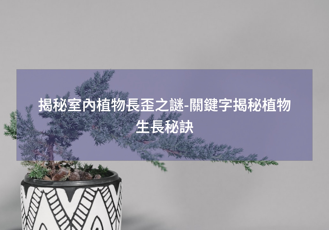 %e6%8f%ad%e7%a7%98%e5%ae%a4%e5%85%a7%e6%a4%8d%e7%89%a9%e9%95%b7%e6%ad%aa%e4%b9%8b%e8%ac%8e %e9%97%9c%e9%8d%b5%e5%ad%97%e6%8f%ad%e7%a7%98%e6%a4%8d%e7%89%a9%e7%94%9f%e9%95%b7%e7%a7%98%e8%a8%a3