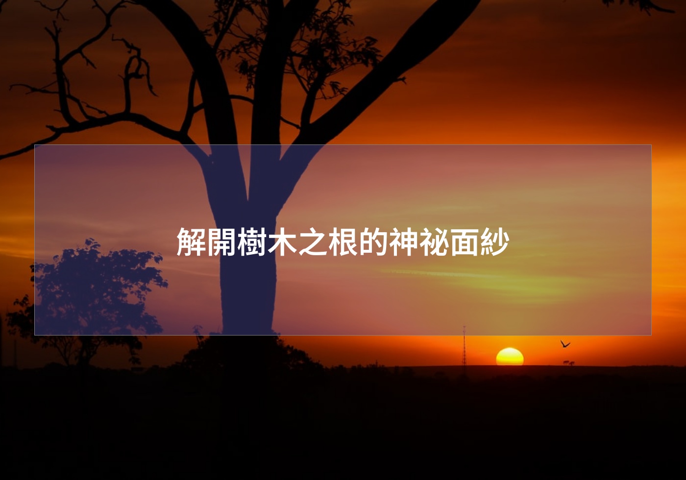 %e8%a7%a3%e9%96%8b%e6%a8%b9%e6%9c%a8%e4%b9%8b%e6%a0%b9%e7%9a%84%e7%a5%9e%e7%a5%95%e9%9d%a2%e7%b4%97